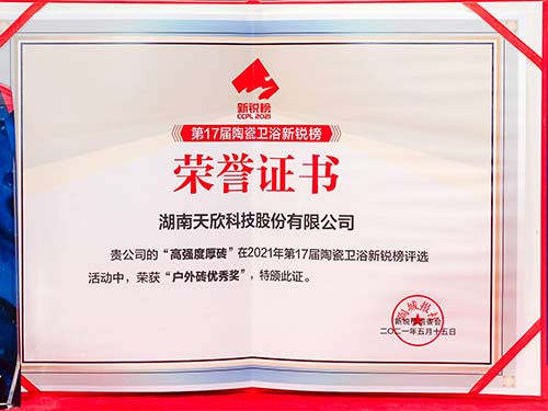 天欣科技2021年新銳榜“戶(hù)外磚優(yōu)秀獎”