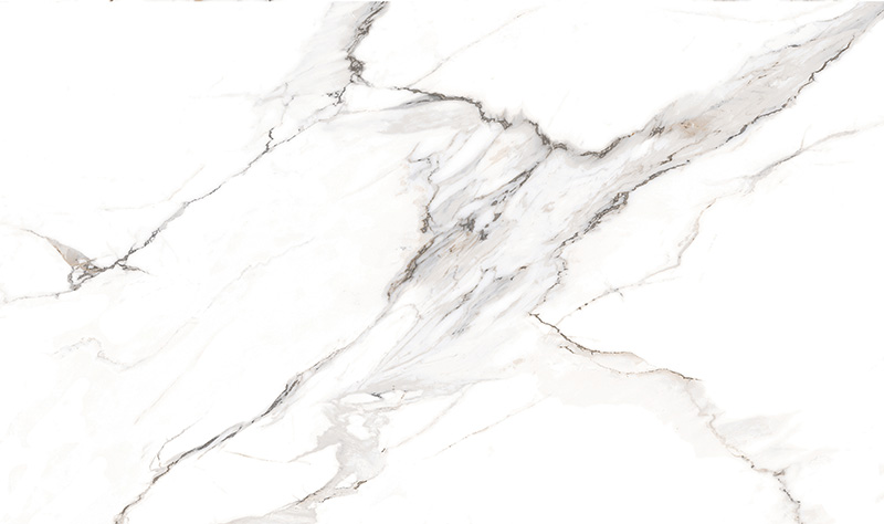 T8135P011-卡塔金 (3).jpg